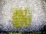 image of grave number 829675